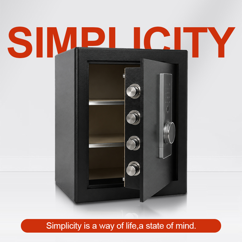 Biometric Fingerprint Safe Box - Safe Box Digital recension och pris