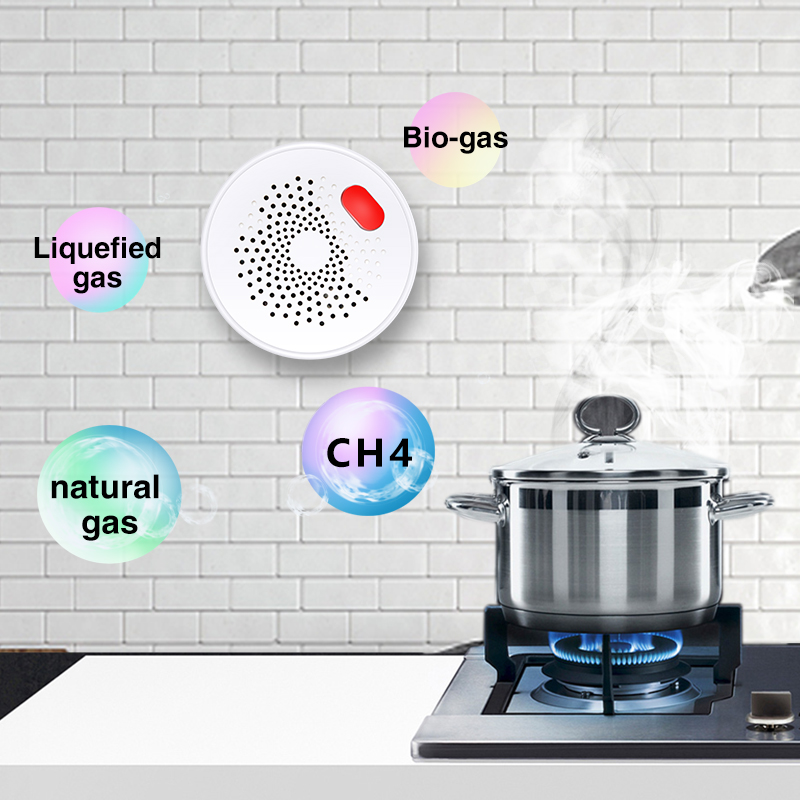 Tuya Smart Home Wifi Natural G - Home Security Business recension och pris